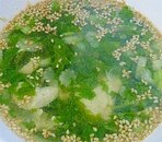 ささみとセロリの葉の中華スープ